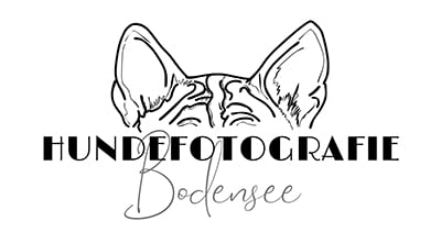 SRA Sponsor Hundefotografie Bodensee